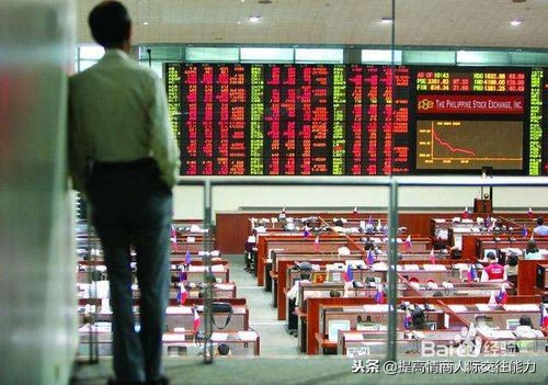 新手学炒股如何选基金,新手炒股入门零基础学