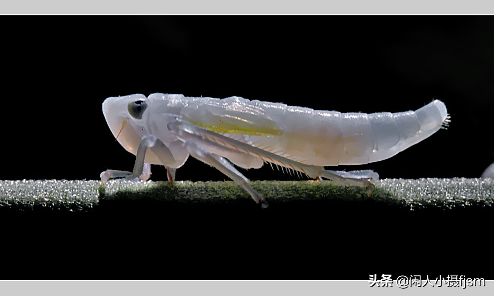 摄影三要素曝光对焦基础知识,广角的拍摄技巧及使用方法