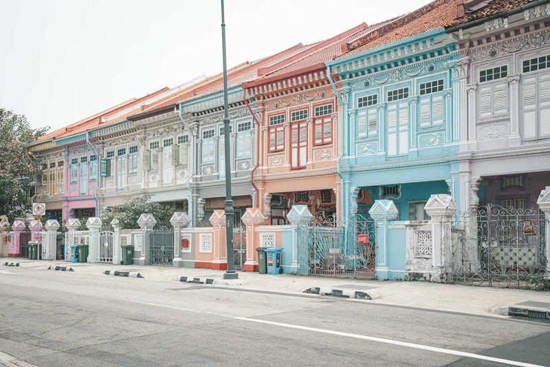 一人一猫环游,一人一猫旅行