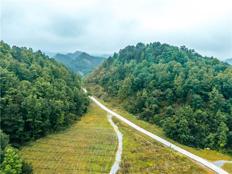贵州除了千户苗寨还有其他玩的吗,贵州千户苗寨外的古镇