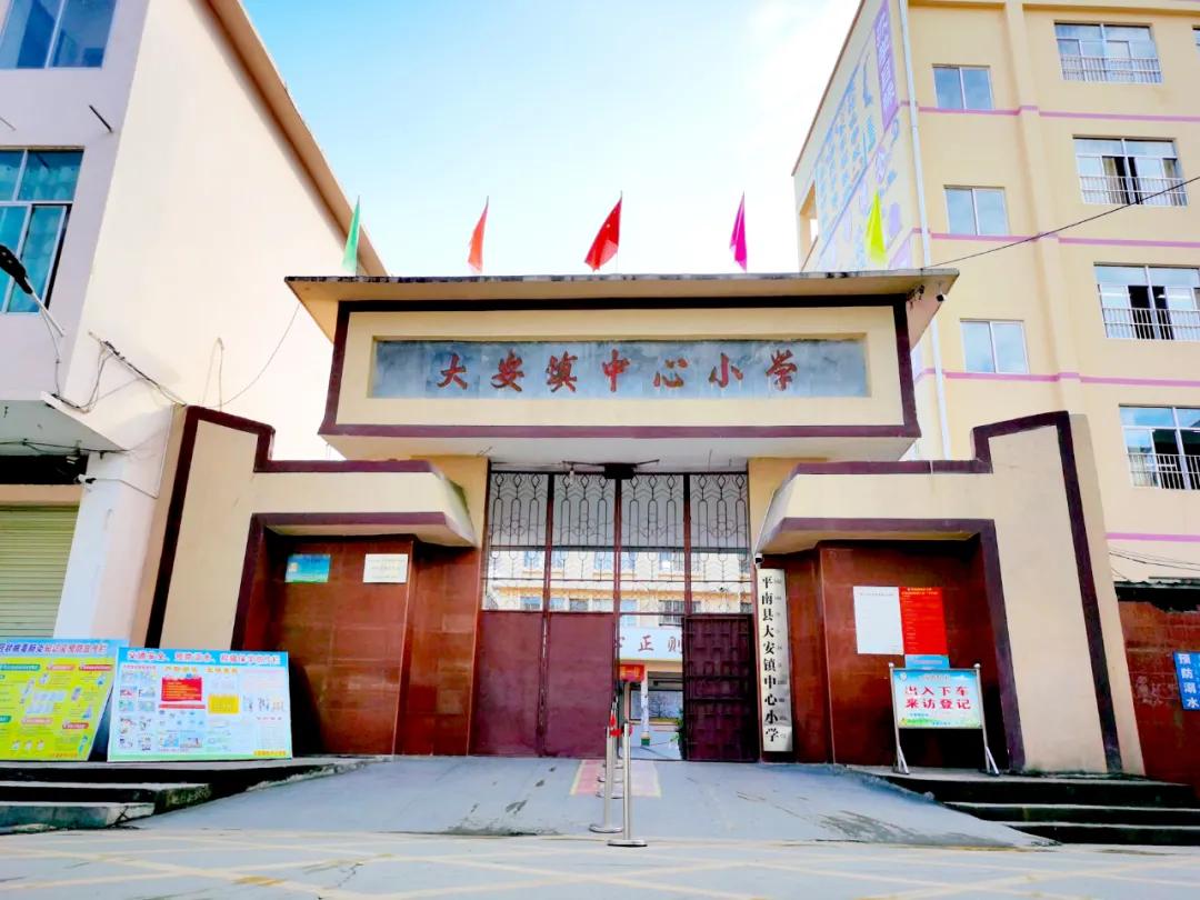 宁强县大安镇中心小学,大安镇中小学校