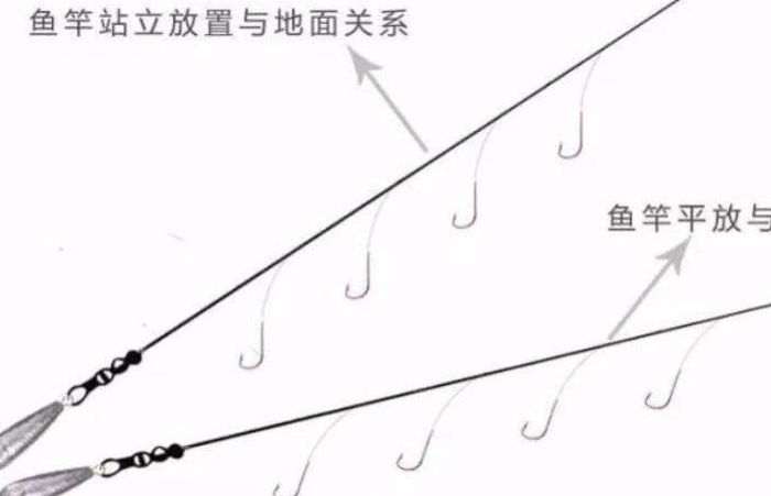 冬季野钓板鲫白天好还是晚上好,板鲫用什么钓效果最好