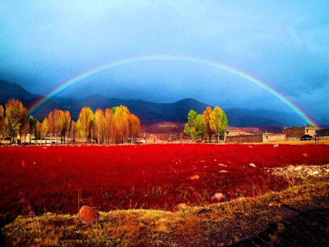 自驾疆藏线,318川藏线自驾游独库公路