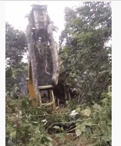 史前巨蟒与巨型蟒蛇,巨型蟒蛇对战巨蟒