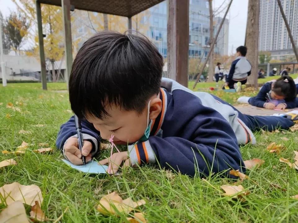 碧源月湖景观,碧源月湖公园