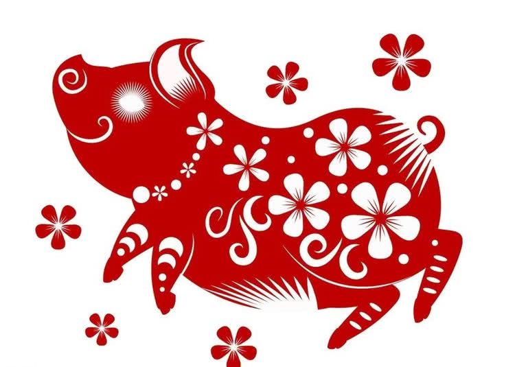 从丁亥到己亥—武昌水果湖中学六六届高三（1）班同学聚会本命年