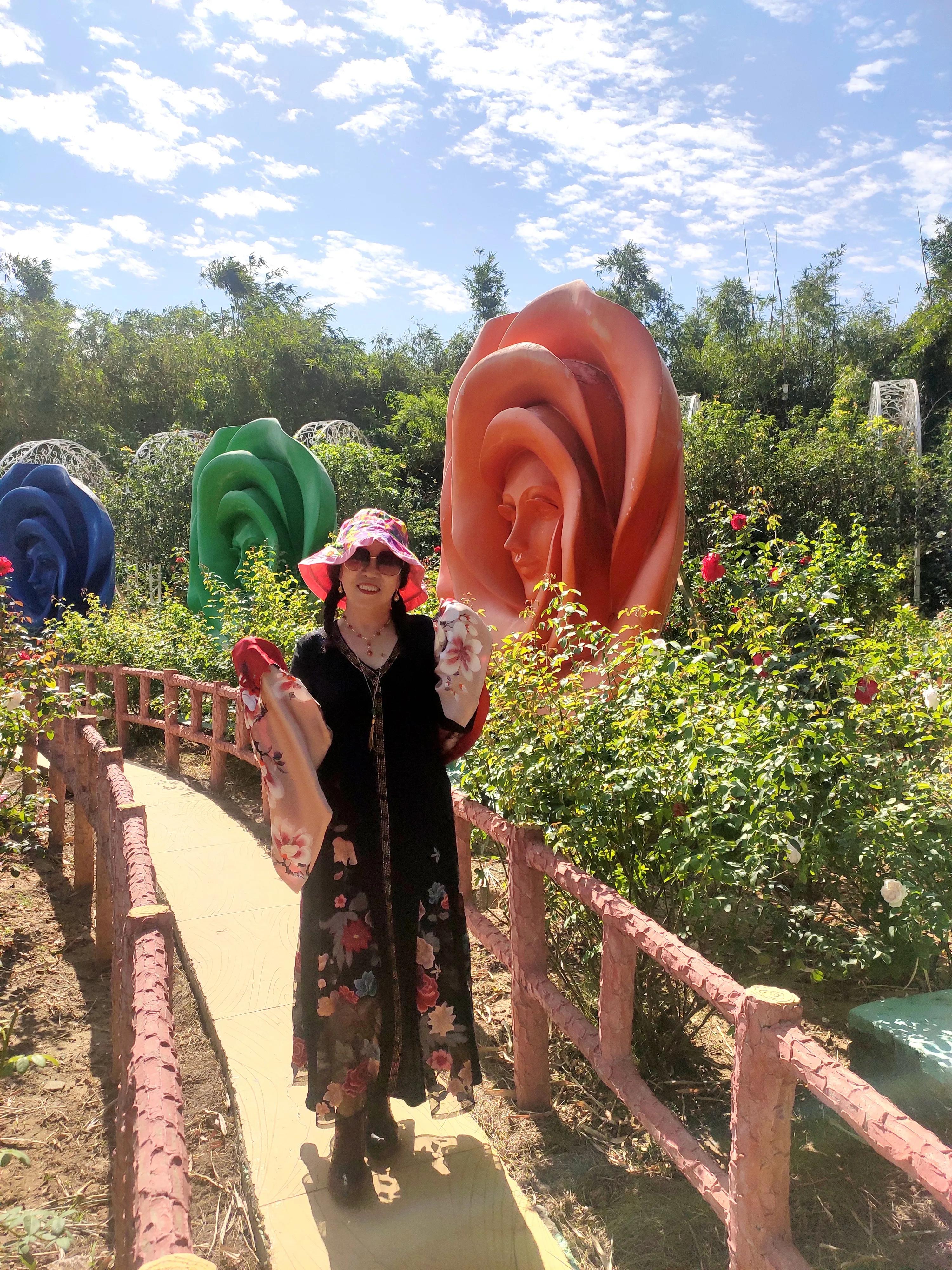 南沙好玩的地方百万葵园,广州南沙百万葵园几月份去最好