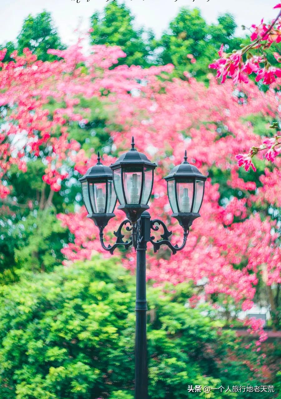 这才是12月最值得去的旅行地,11月12月去哪里旅游最美