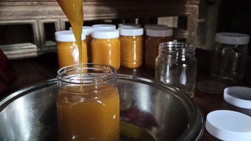 新手养蜂有哪些要注意的事项,新手养蜂注意事项及禁忌