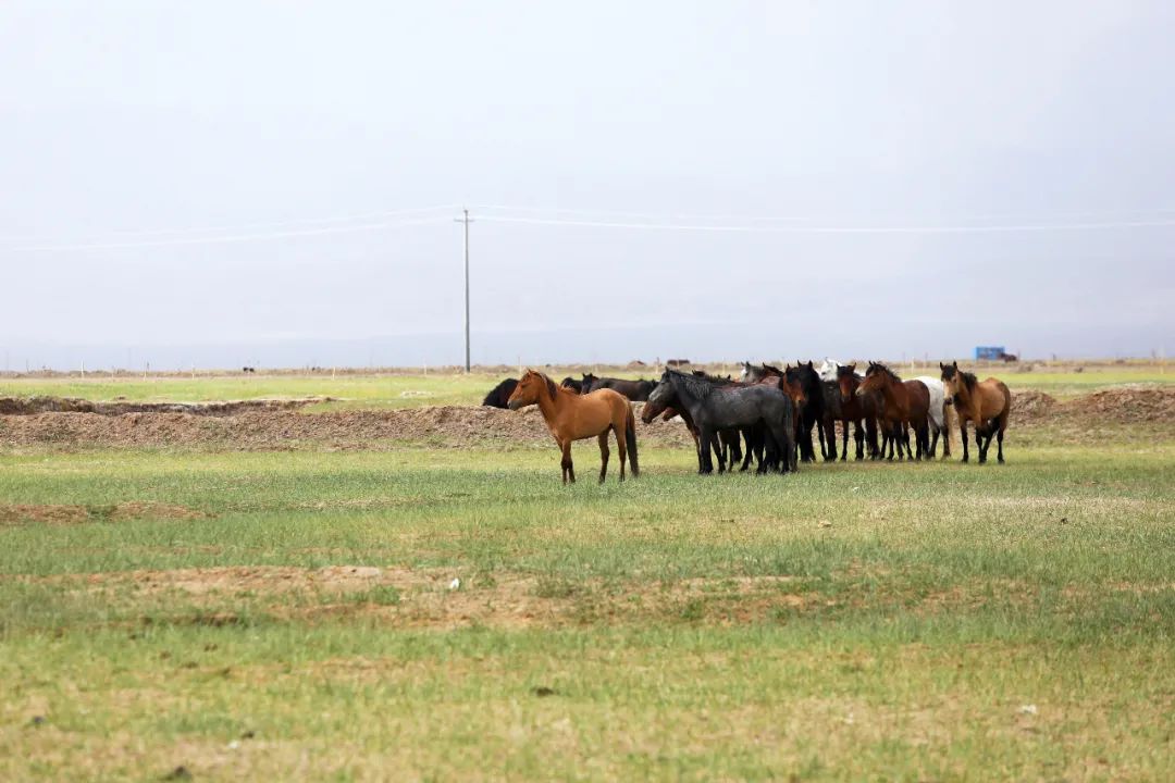 青海旅游景点推荐网红一日游,青海旅游攻略必备景点