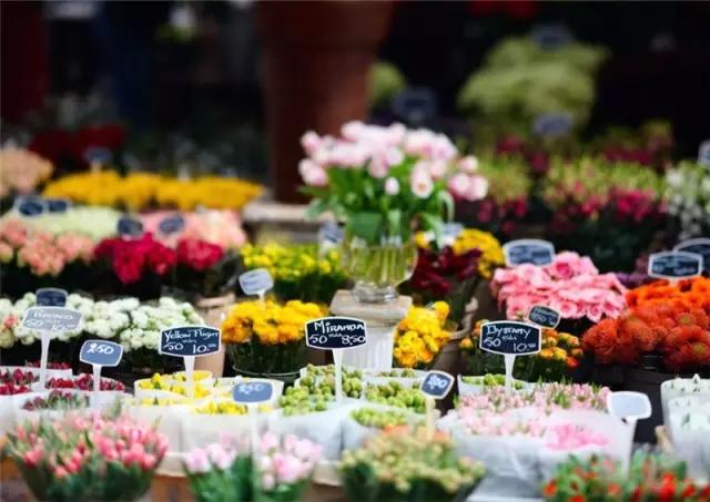 亚洲最大花市宛如仙境,中国最牛的花市
