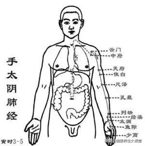 经络不通，补啥都没用？14条经络阻塞后的表现，值得收藏！