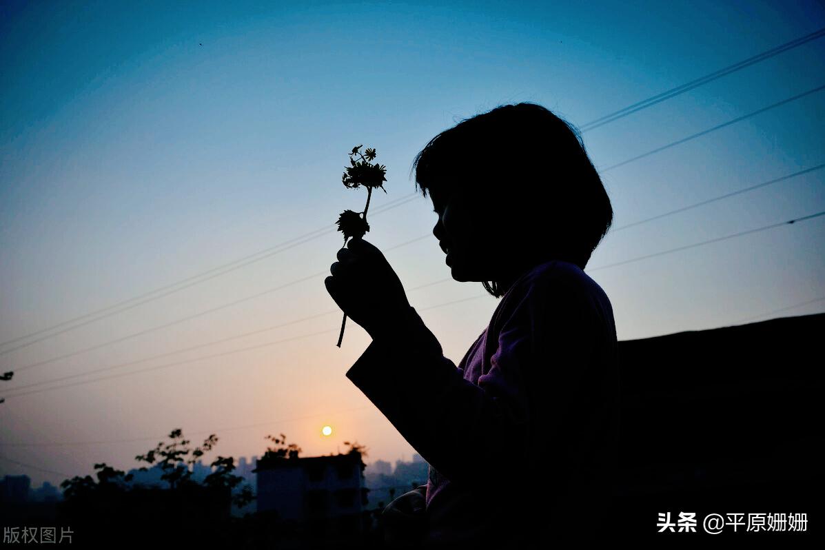 我对郑州的印象,我对济南的印象