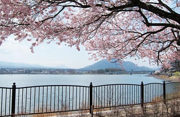 玩转日本,玩转日本自由行