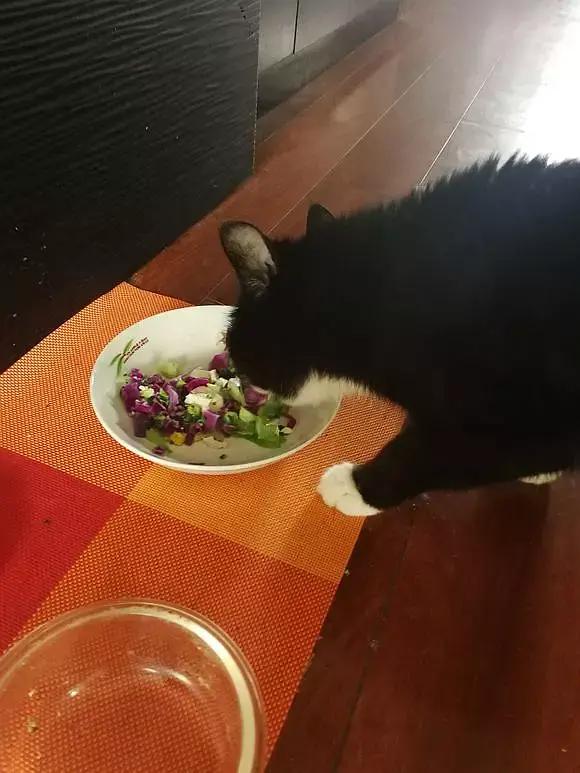 糖尿病患者胆囊炎胰腺炎同时出现,胆囊结石胰腺炎糖尿病