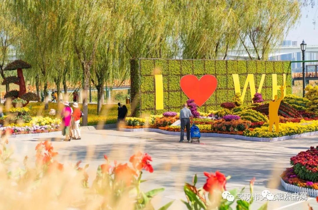 武汉江滩的那些事,武汉江滩的故事