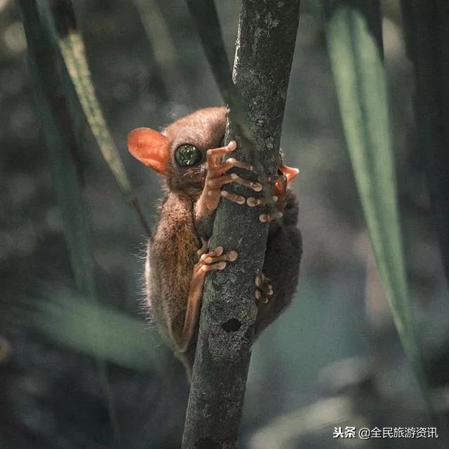 离中国很近的国家,小众冷门旅行地推荐