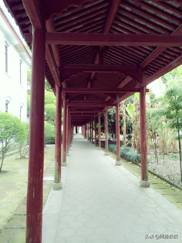 浙江春晖中学好还是柯桥中学好,上虞春晖中学全国排名第几名