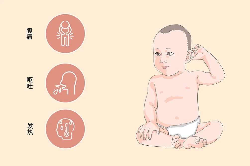 感冒了上吐下泻拉稀水是怎么回事,孩子肠胃型感冒发烧吐怎么办