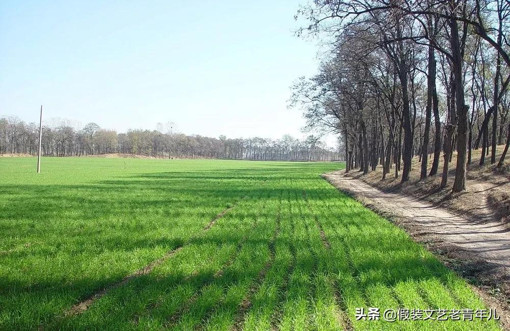 卫辉柳位村最新视频,卫辉市柳位村最新消息