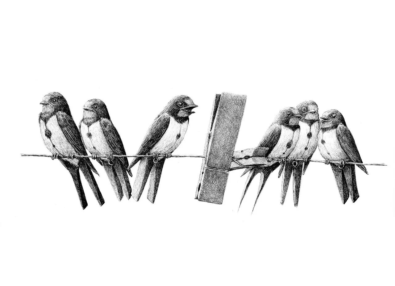 脑洞大开的创意绘画方式,脑洞大开的素描