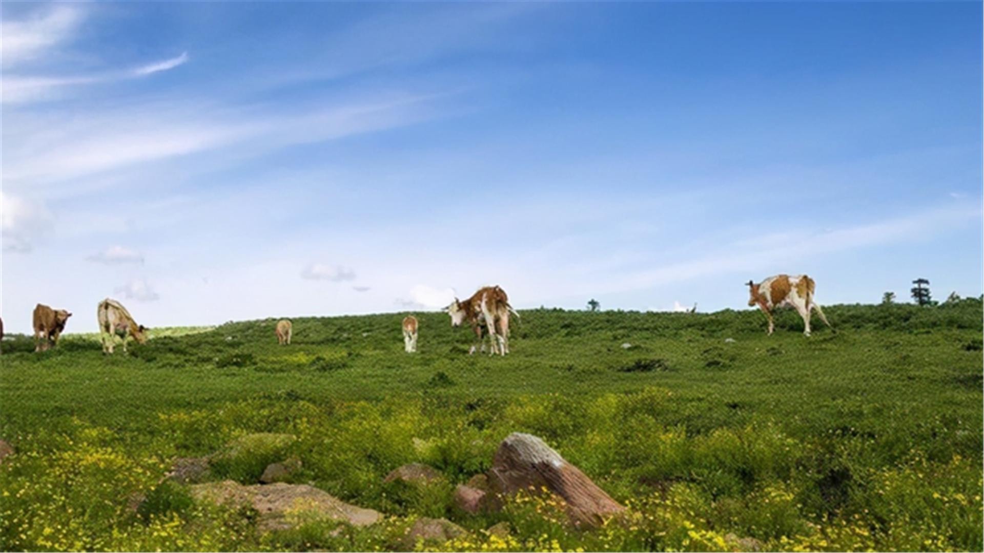 山西有什么好玩的旅游景点冰洞,山西夏季冰洞旅游景点