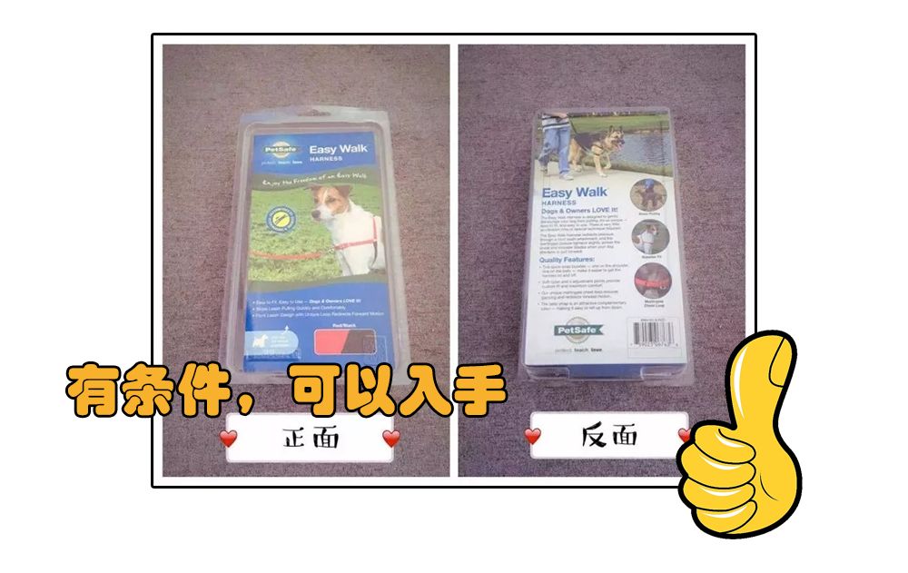 铲屎官安全注意事项,铲屎官遇到危险土狗