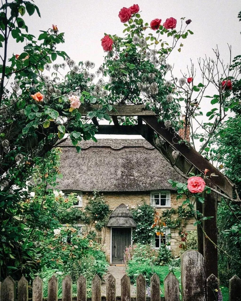 理想之家全集免费观看,理想之家智能家居体验馆