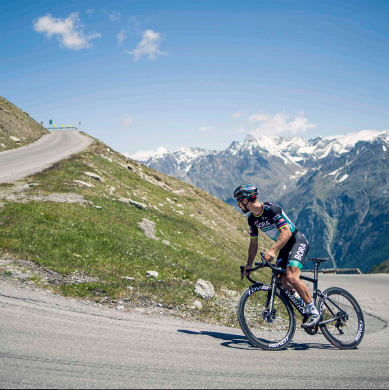 速度感人,价格感人Specialized发布全新公路车款TarmacSL7