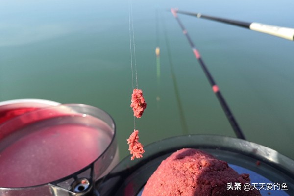 黑坑拉饵调漂的正确方法与技巧,蚯蚓拉饵调漂的正确方法与技巧