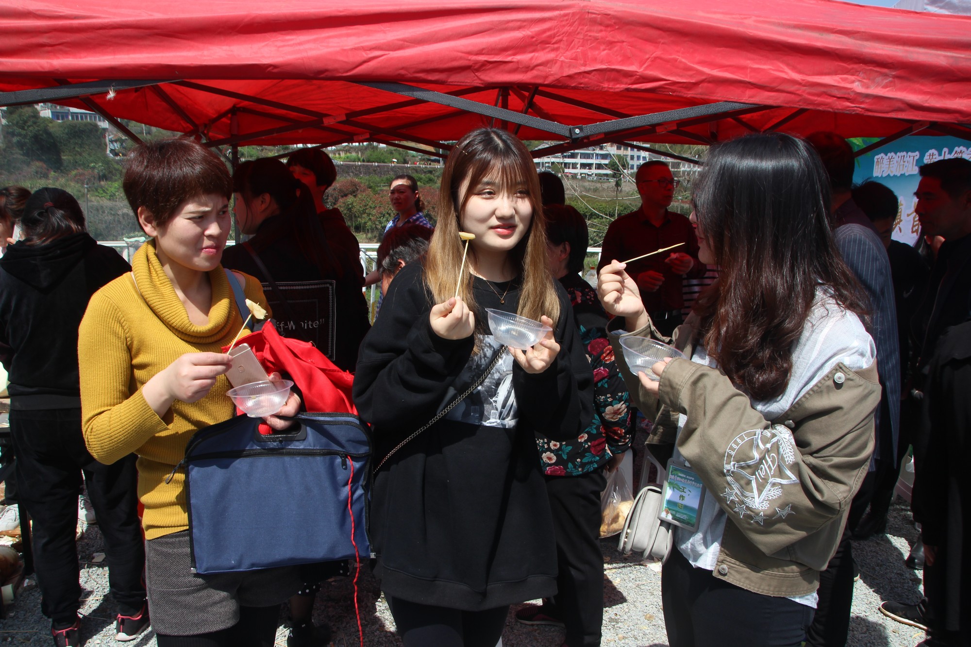 浙江临海沿江镇竹笋,临海市野生竹笋