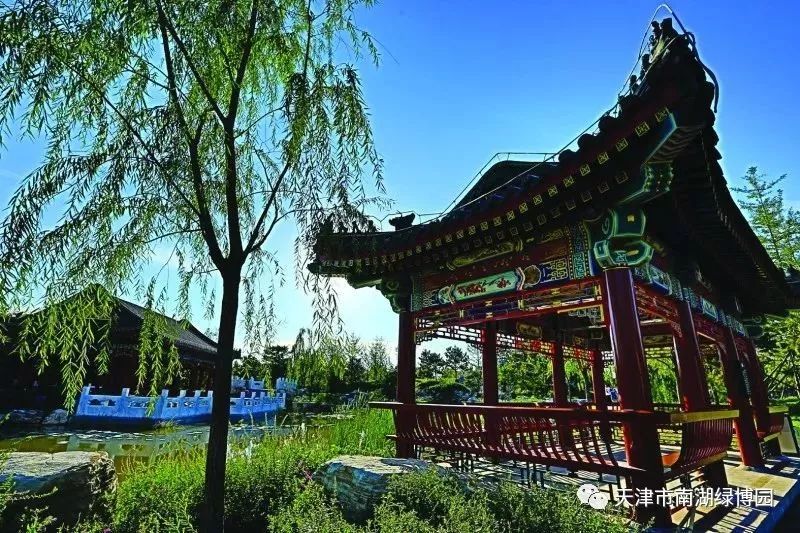 五一天津去哪玩南开,五一天津去哪玩海河