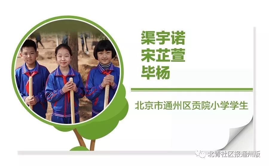 就是通州这5个人，和总书记一起植树了！听听他们都说了啥？