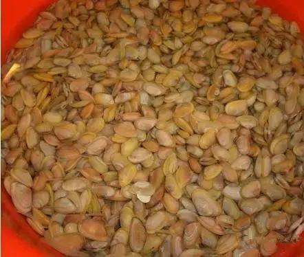 渔民海鲜大全,渔民整理的海鲜河鲜大全