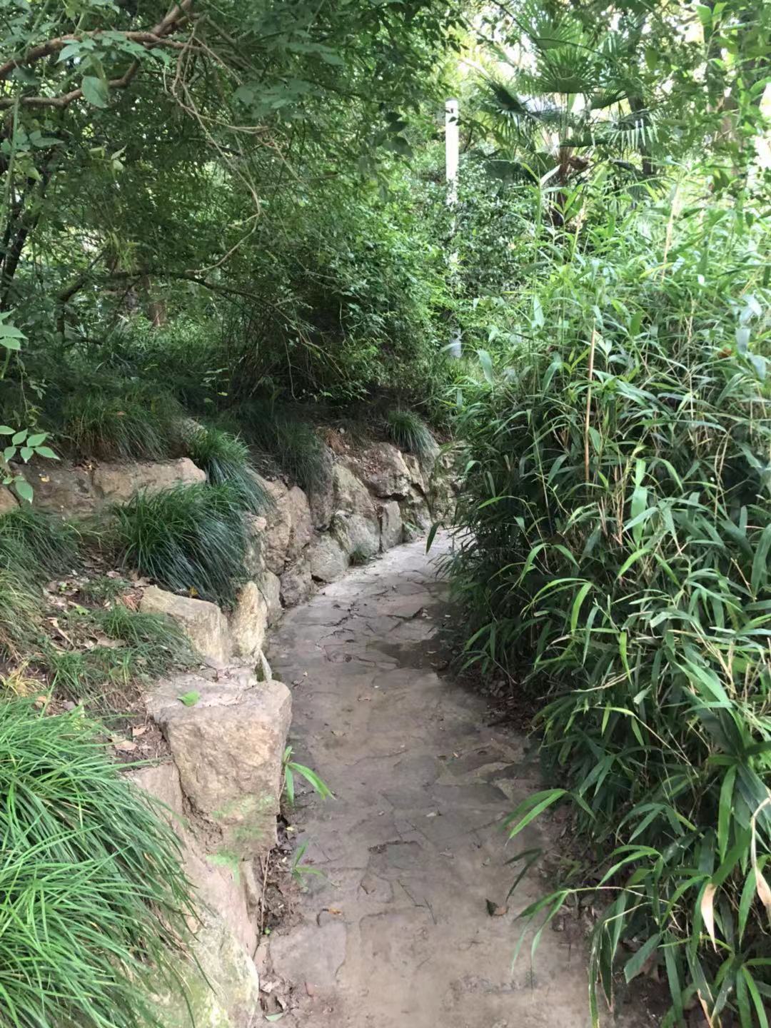 上海天山公园厕所事件,上海天山公园开放时间