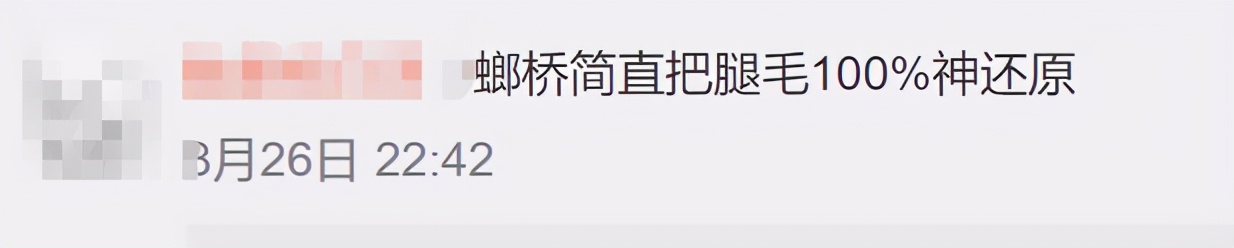 南方蟑螂和北方蟑螂对比恶搞,南方大蟑螂吓哭北方人