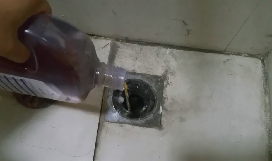 卫生间里黑色细长的虫子是什么虫,厨房卫生间有白色虫子是什么原因