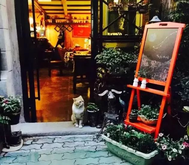 武汉江景咖啡馆排名前十名,探店武汉咖啡店