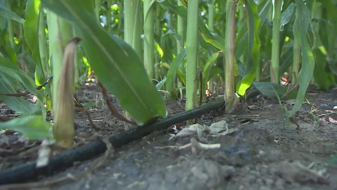 澶х帀绫宠豹杞︽憜鍦版憡,澶х帀绫宠豹杞︽憜鍦版憡浣嶇疆