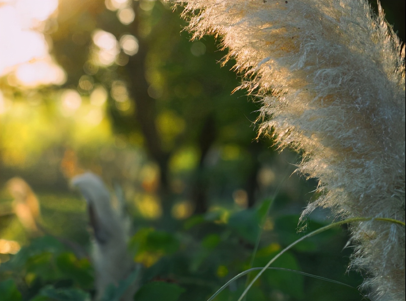 沙家浜一日游好去处,沙家浜游玩推荐