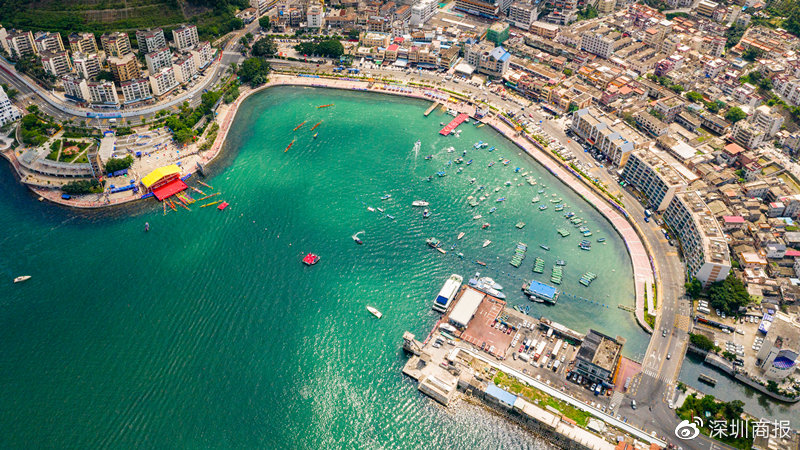 南澳龙舟赛 (深圳南澳月亮湾龙舟赛怎么去)