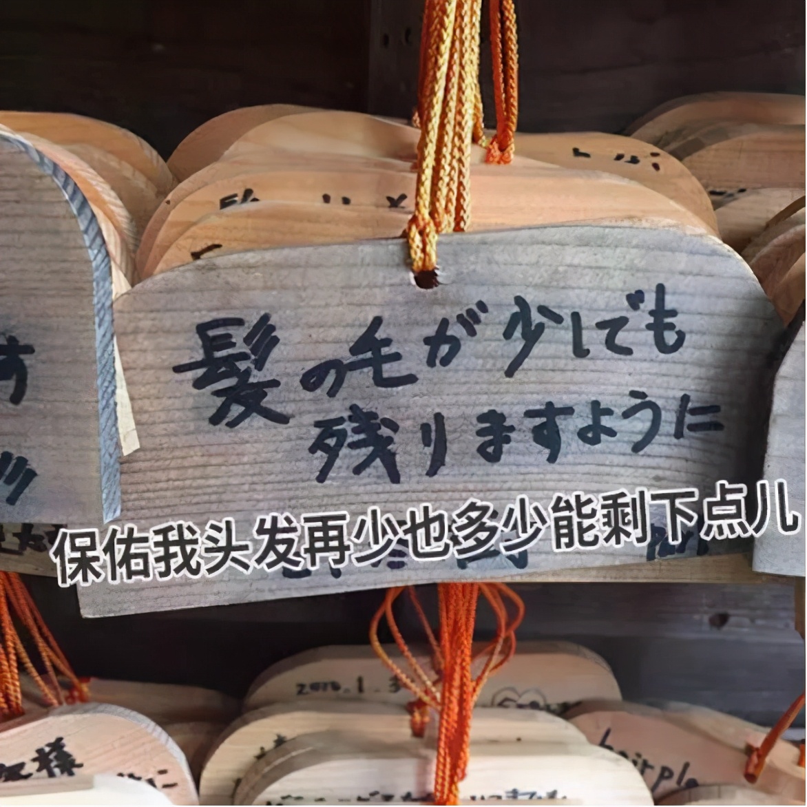 日本人秃头,日本秃头率亚洲第一