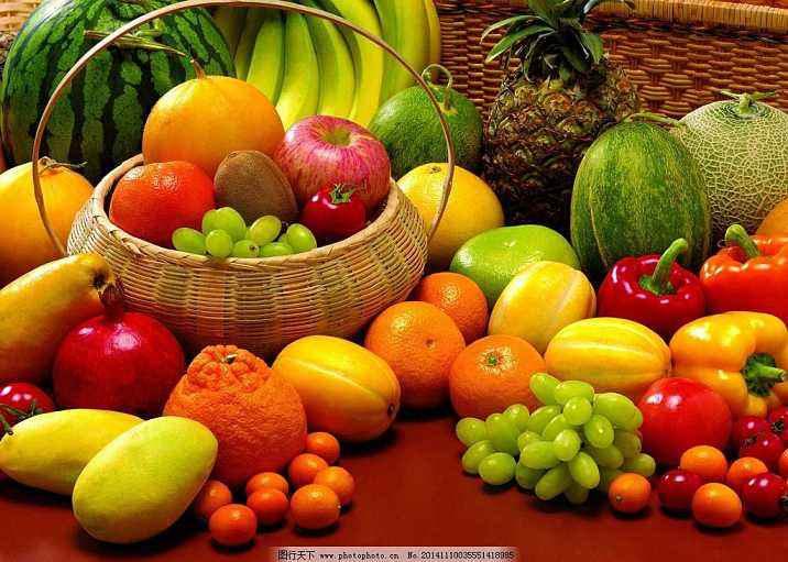 怎么消灭老鼠窝,怎么消灭老鼠跳蚤