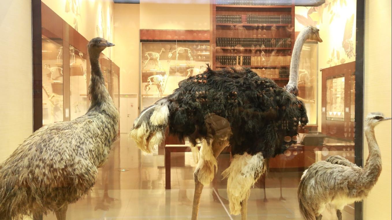 上海迪士尼跨年旅游,上海迪士尼与外滩旅游安排