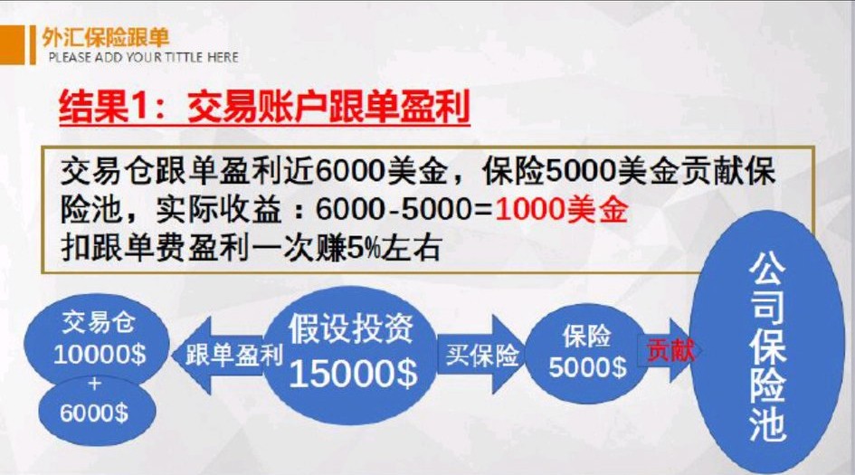 海汇国际保险跟单靠谱吗,海汇国际外汇模式