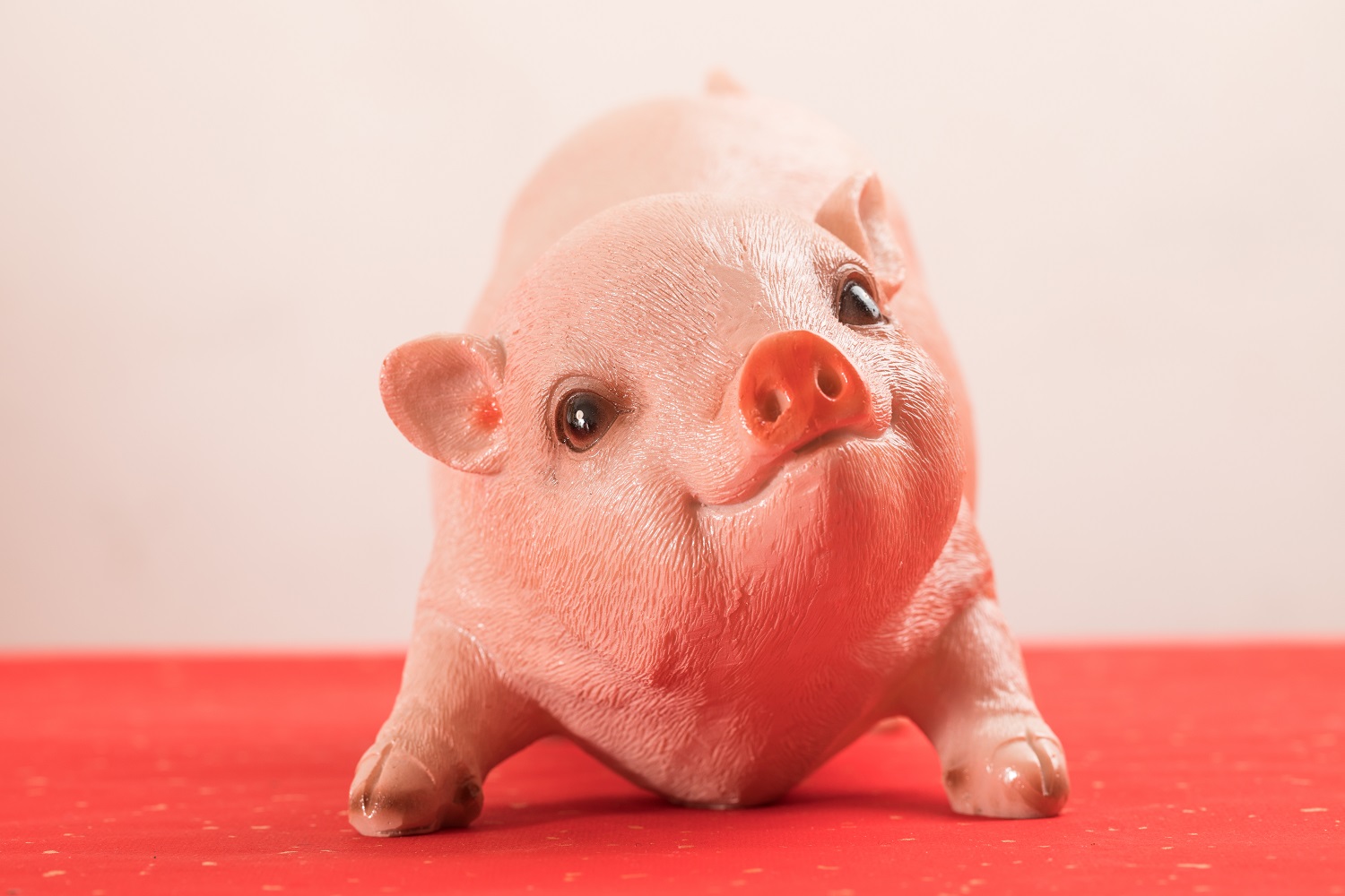 十二生肖猪的故事,听说过猪的故事整人