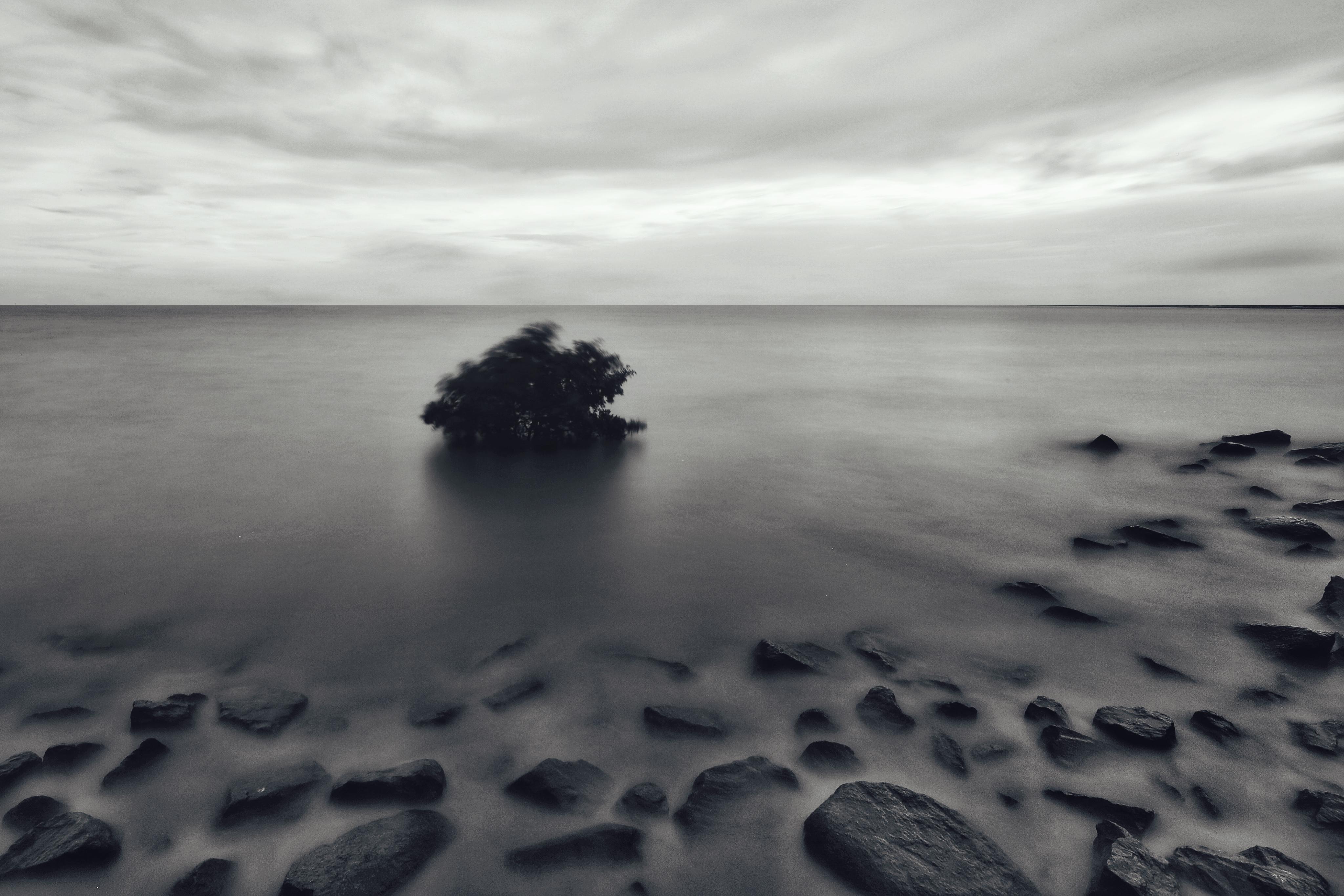 拍照教程教你如何拍出好看的照,教你4个技巧助你拍出光影美照