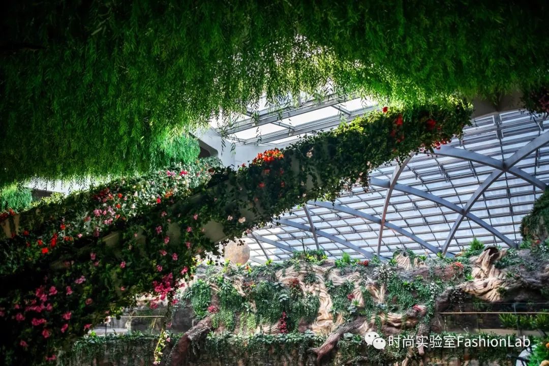 一统朋友圈江湖的日子终于来了