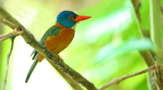 从零开始学翡翠的书,从零开始学翡翠