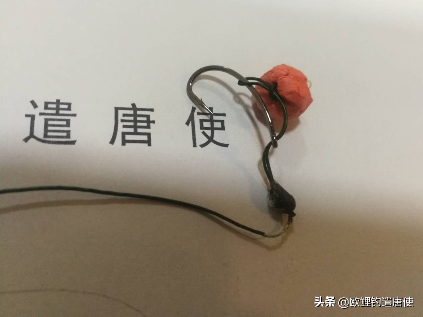 为什么鲤鱼比鲫鱼难钓,为什么鲫鱼这么难咬钩